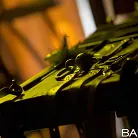 Lola Taylor in 'Shades of Kink'