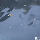 Abigail Mac in 'Seducing Miss Dolce'