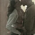 Alexa Tomas in 'Finding Mr. Right'